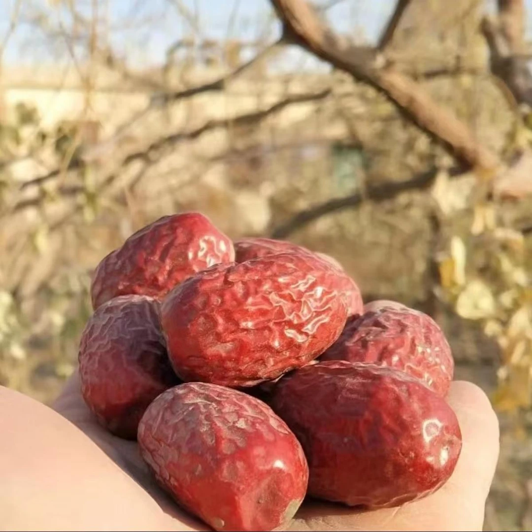 潮星精选♥新疆红枣灰枣无洗水树上自然吊干原生态包邮送礼