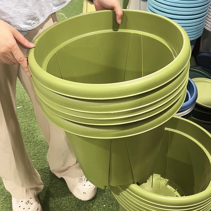 青山盆口40高35果绿色无托5只