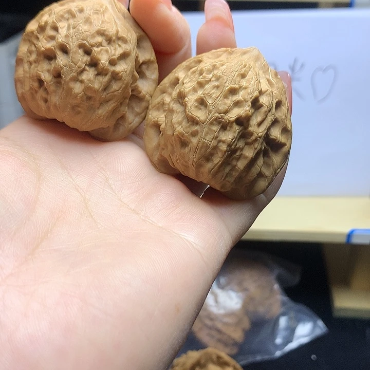 辞***。公子帽2222222222222222228