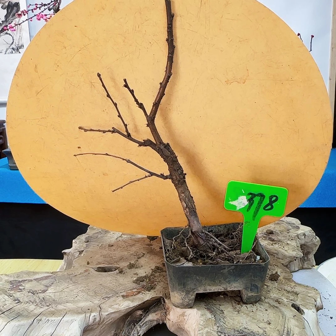 无铅玻璃老*头d c b n j k l