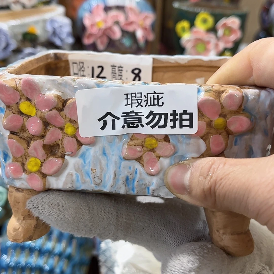 【闪购商品】红陶福利