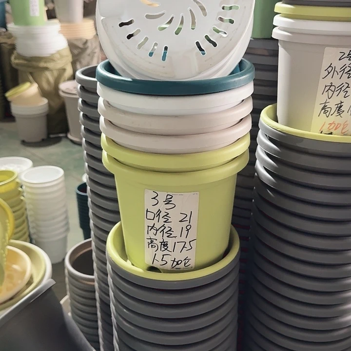 微瑕3#口径21无托果绿10个