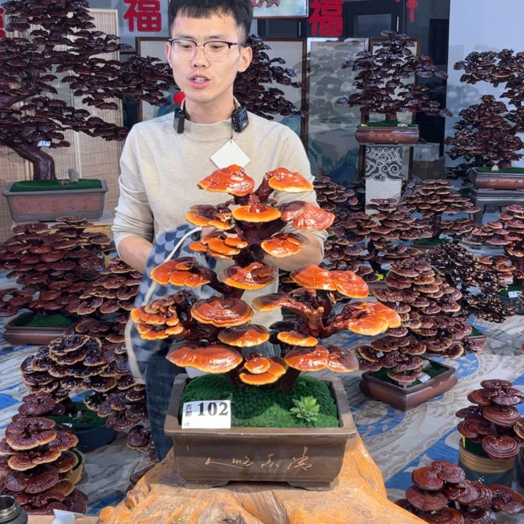 【闪购商品】88888