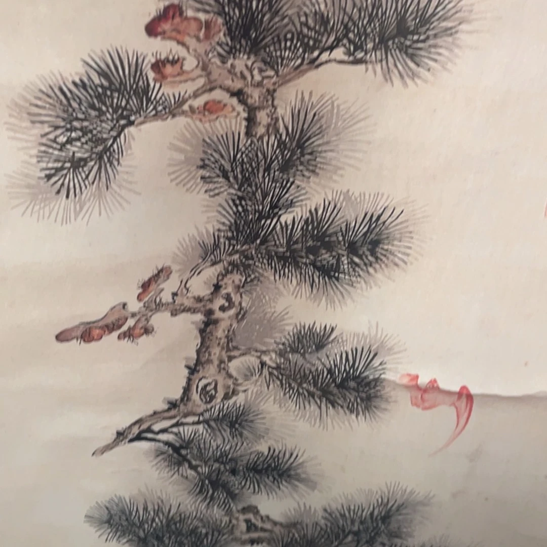 山水花鸟代拍链接