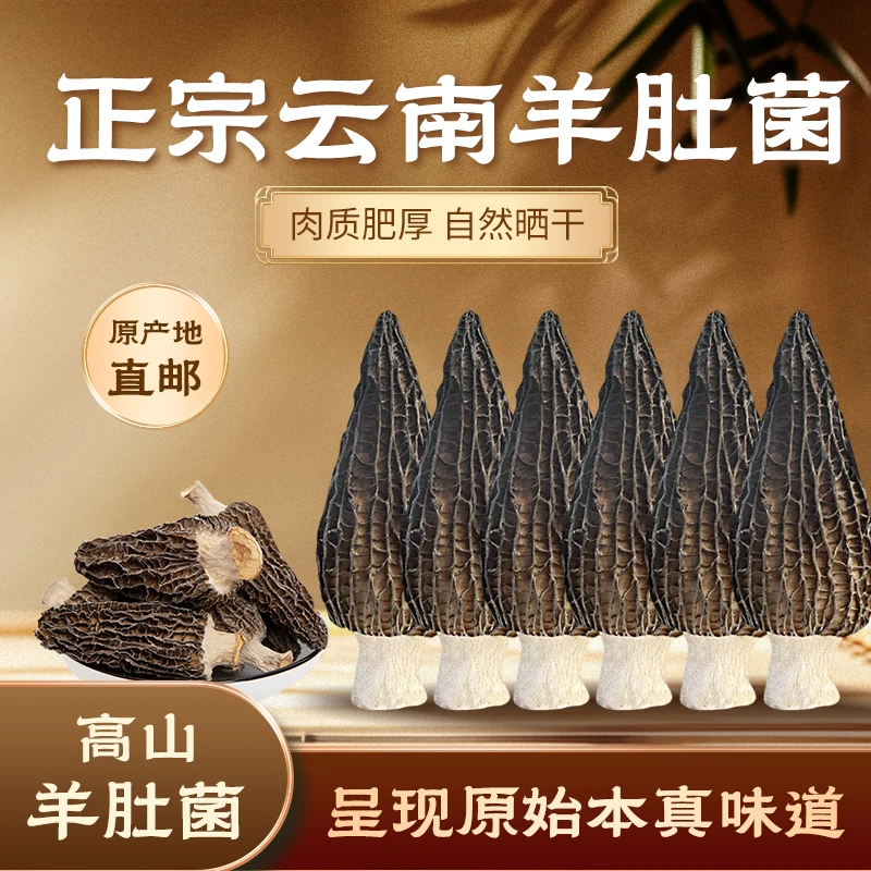 云南羊肚菌干货肉质肥厚营养丰富煲汤佳品饱满羊肚菌干货