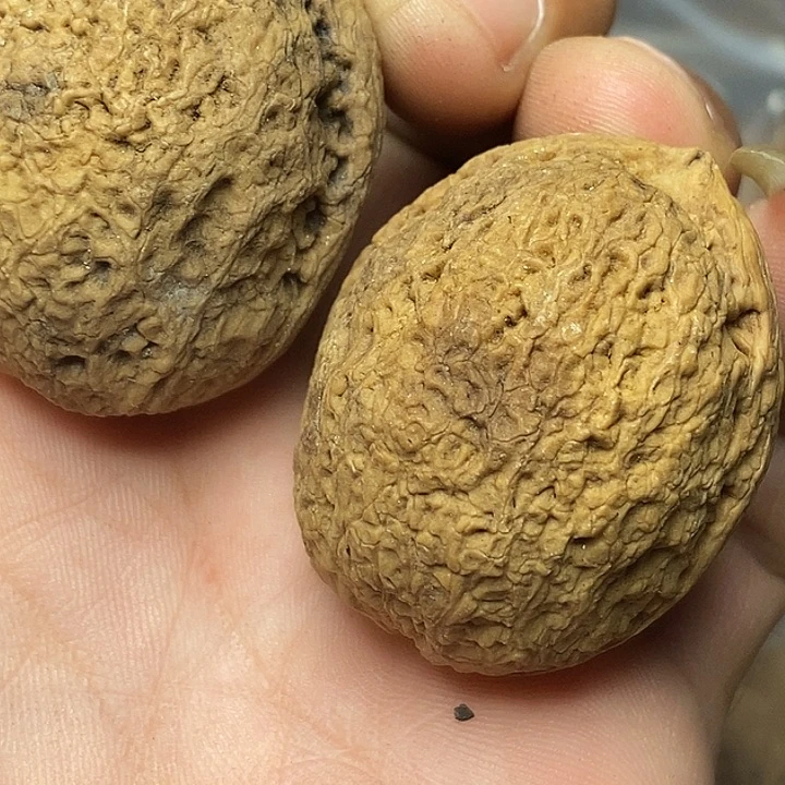 文玩核桃把件志成云铁文玩78