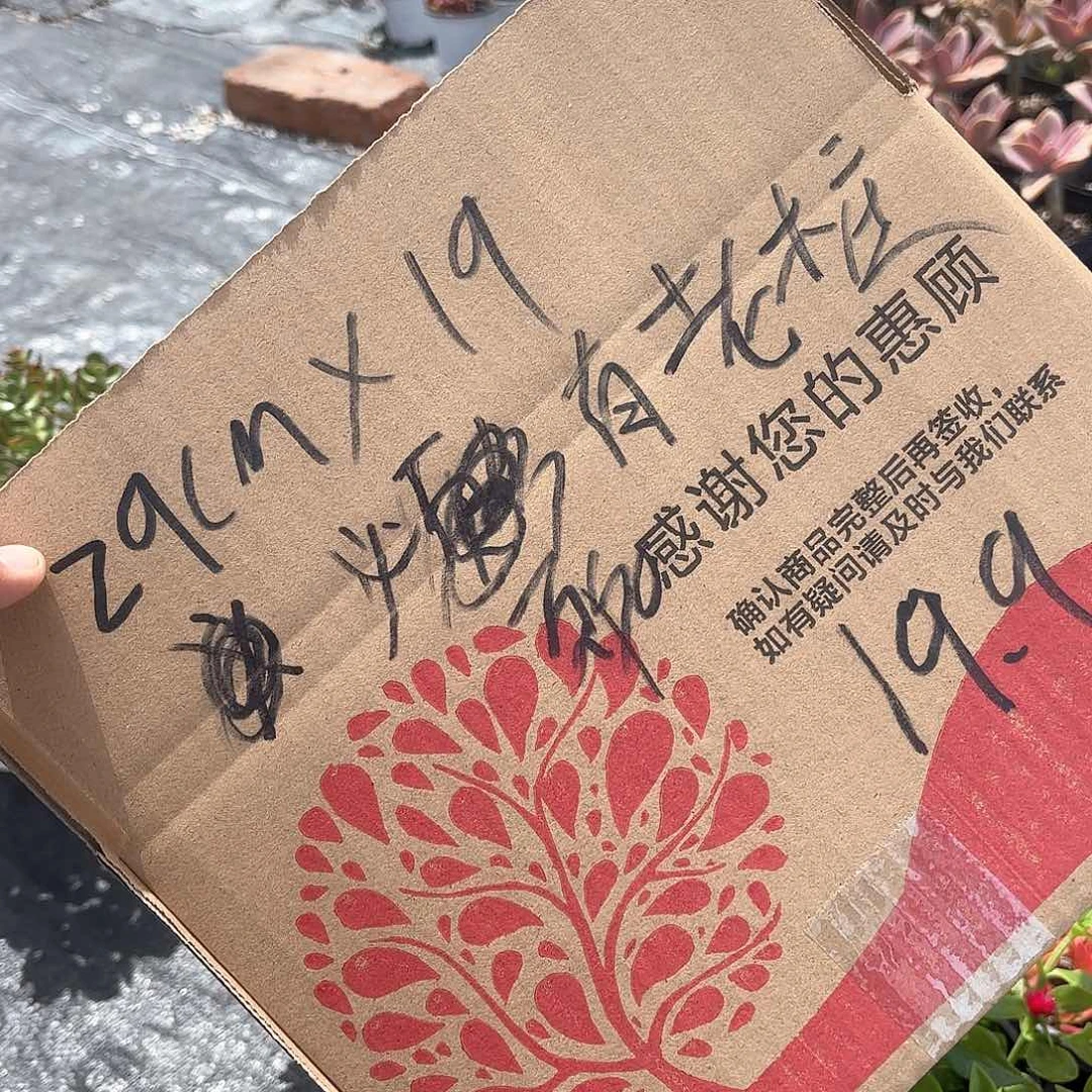 一箱必有老桩不包售后，装满