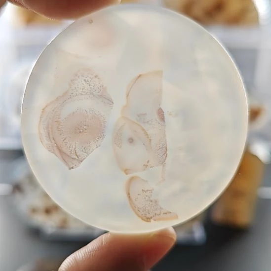 玛瑙/玉髓未镶嵌吊坠(不含链)10号