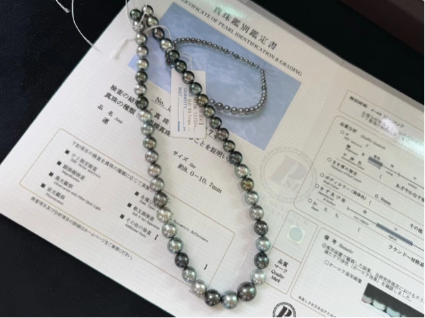 【真科研】8-10.7mm大溪地黑珍珠莫兰迪项链孔雀绿混彩海水珍珠项链