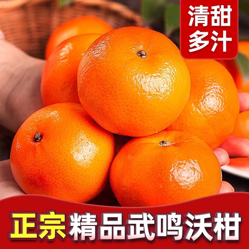 【广西武鸣沃柑】香甜桔橘子当季新鲜水果清甜多汁化渣9-10斤