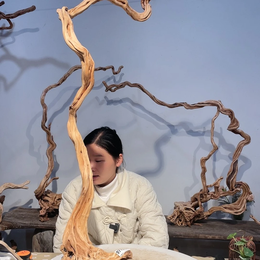 核桃木/黑胡桃（胡桃木）游**生