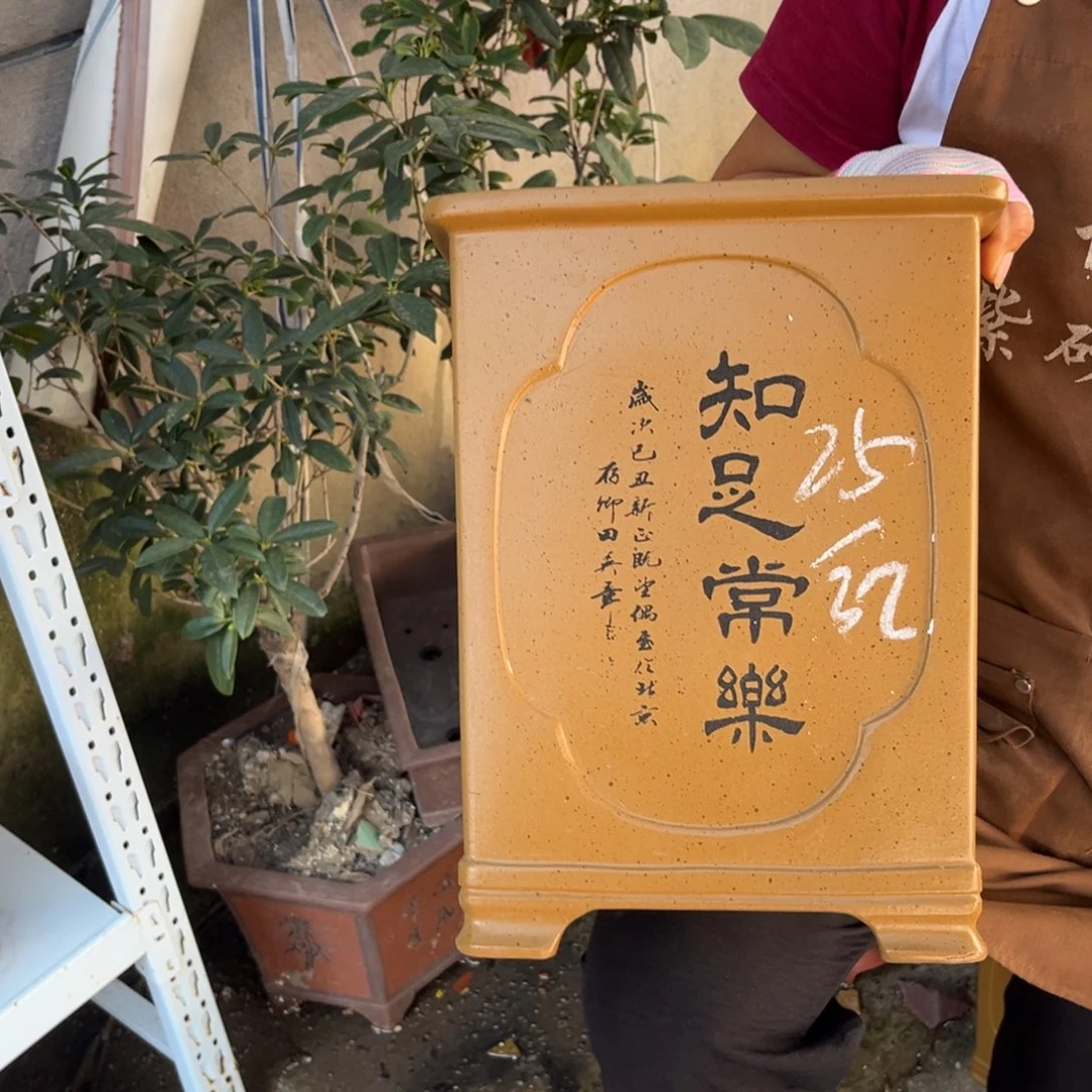 紫砂花盆盆景艺术