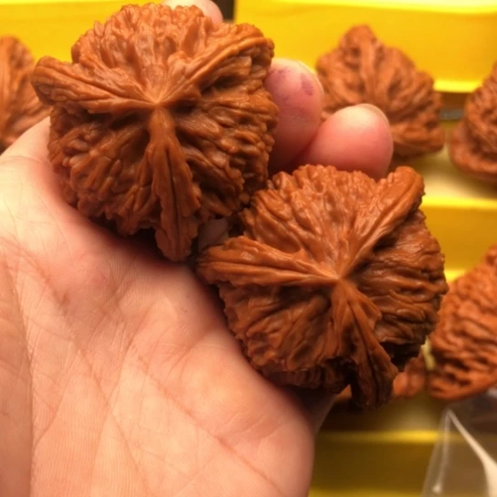 腾***生核桃核桃核桃核桃