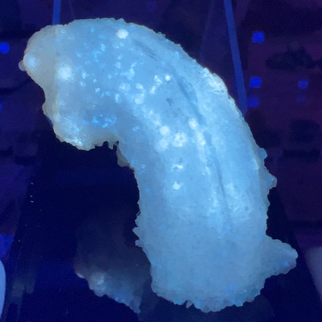 银S925镶嵌紫晶大型摆件（非配饰）