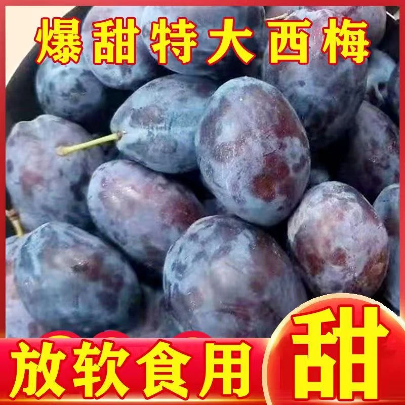 甘肃高山甜西梅新鲜采摘香甜多汁当季水果顺丰包邮礼盒包装5斤
