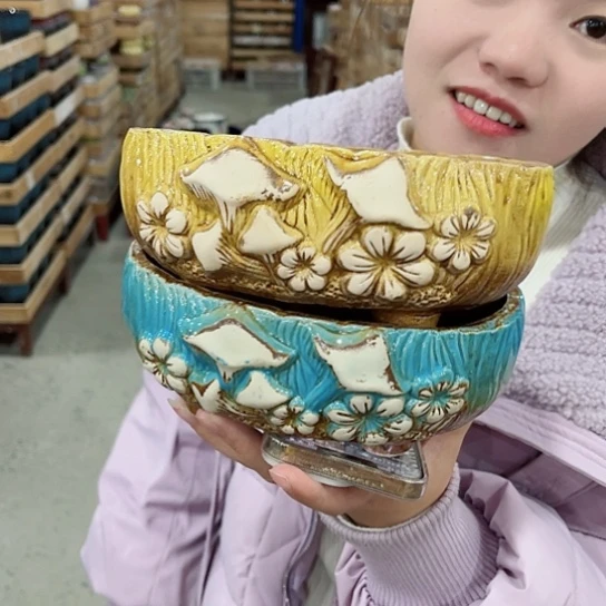 红陶花盆里还有几棵树上