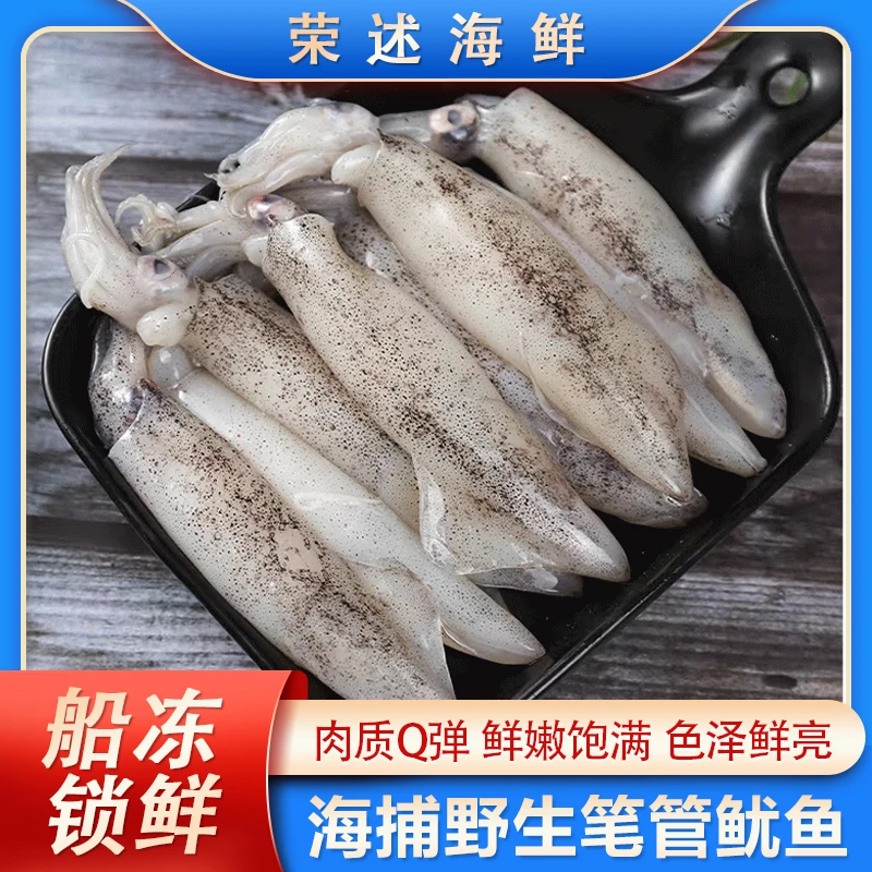 【主播专属】新鲜速冻超大笔管鱼公母混装带籽大海兔小鱿鱼1斤/袋YY