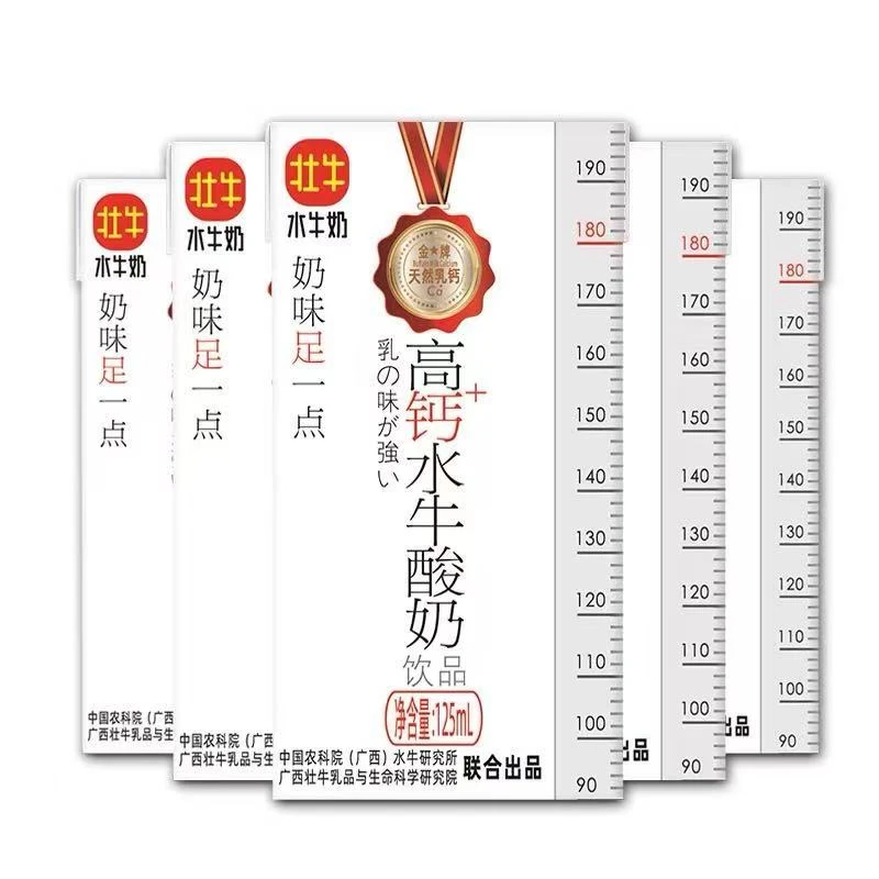 广西壮牛高钙水牛酸奶小孩学生125ml两箱学生儿童