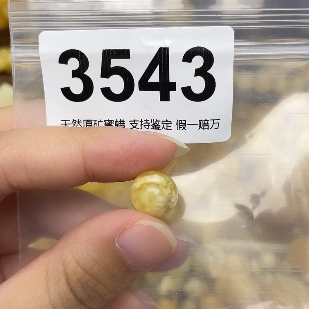 未镶嵌蜜蜡珠宝奇石12.3