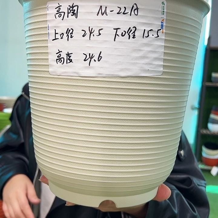 正品高陶口24高24白色5只无托