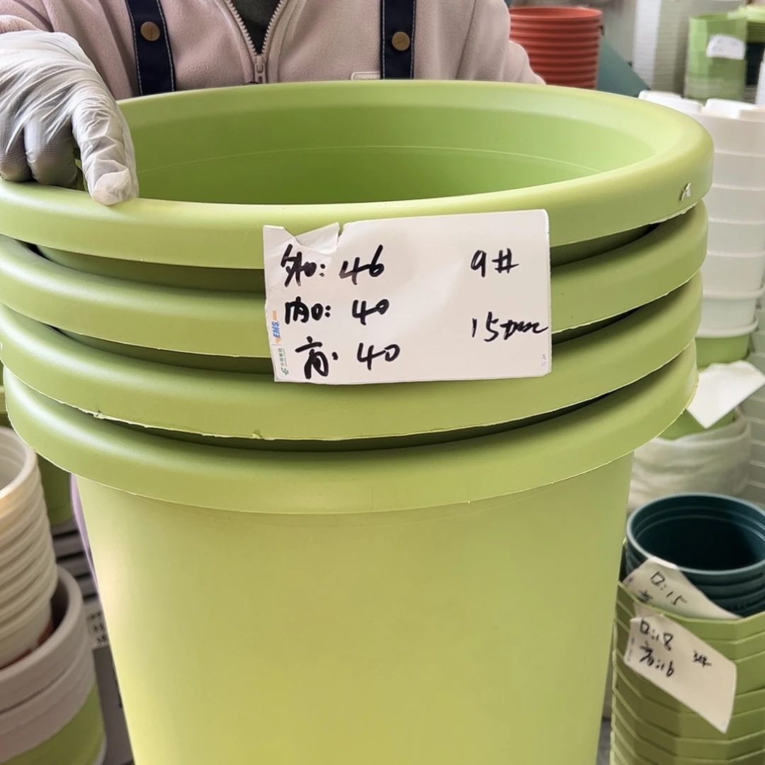 四季盆9#果绿色4个无托