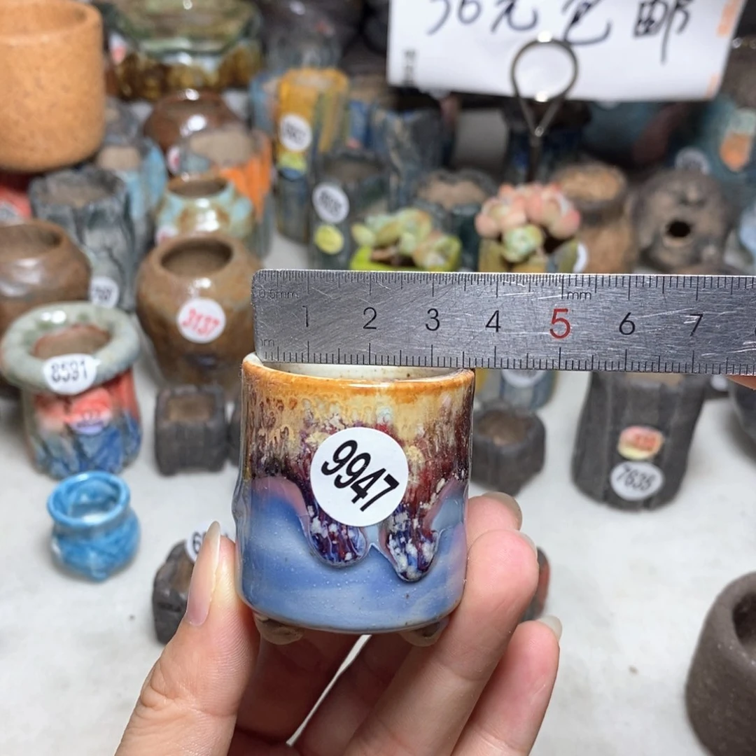 拍5送一个小礼物