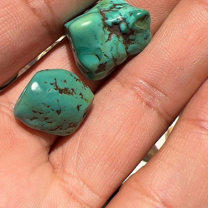 香榧木鑫****鸠在家了一个小时