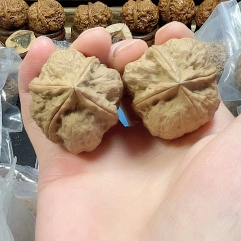 文玩核桃把件玄武索异形一只棱不到底磕尖带彩39