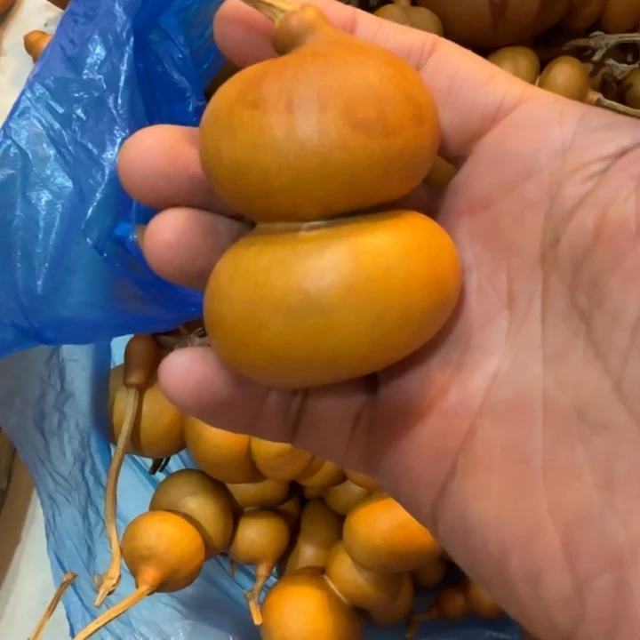 ヾ***在今年最大的一把钱袋子葫芦