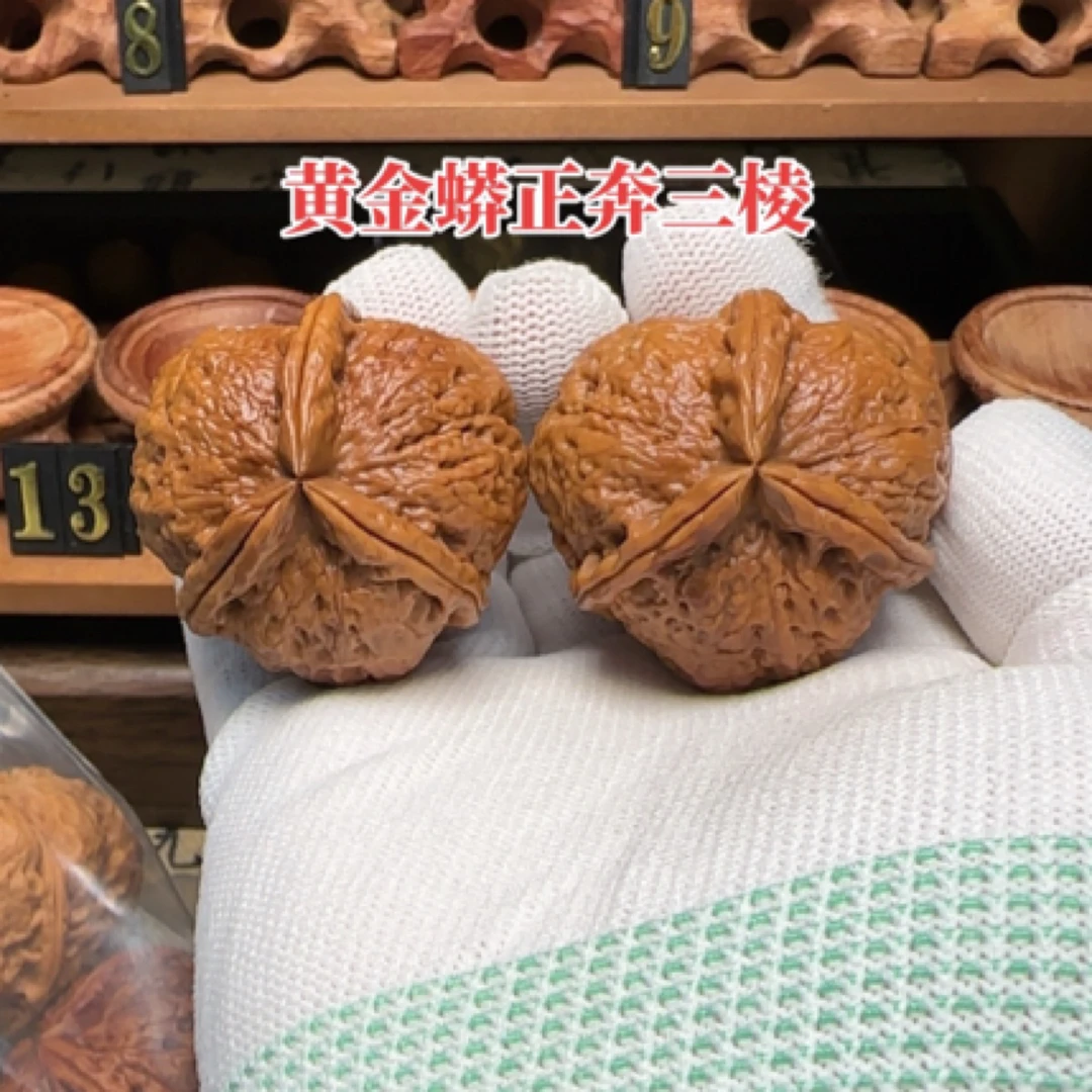 金蟒三棱正奔41尺精配