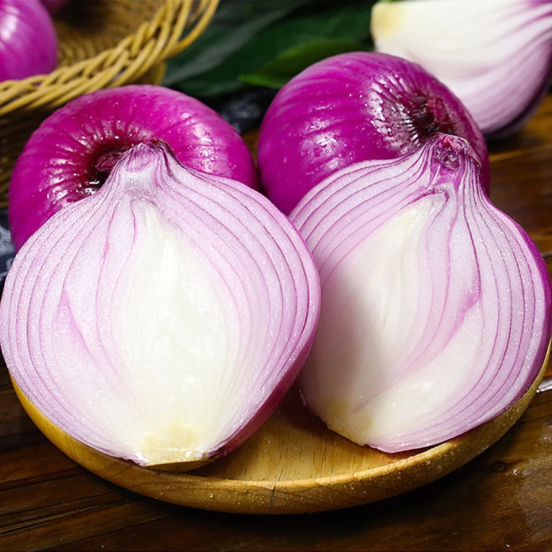 河南紫皮洋葱农家自种农产品新鲜圆葱现挖现发生吃微辣当季蔬菜