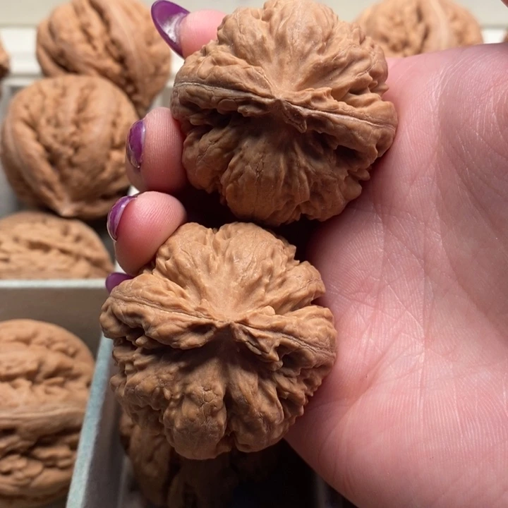 小***哥文玩核桃手串霸王龙