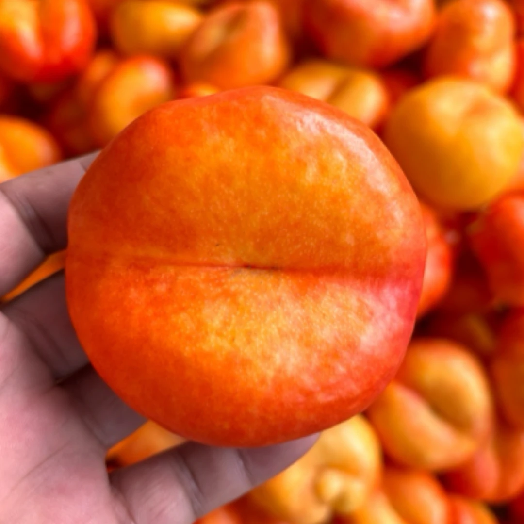 【顺丰包邮】蒙阴现摘彩虹奶油蟠桃香甜可口（