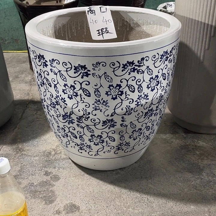 我是一只小小鸟地域鬼的人生观价值观