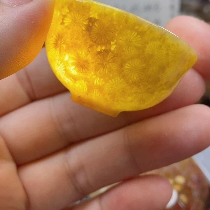 硅化珊瑚（珊瑚玉）颈饰未镶嵌