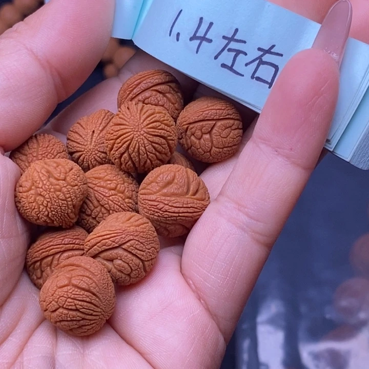 核桃秦岭龙纹桃核