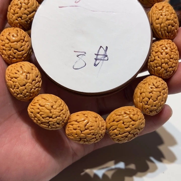 核桃桃核直播8号直播