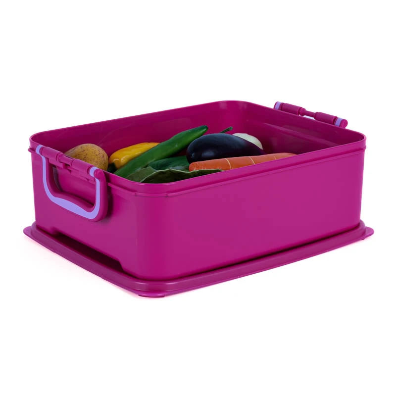 （海）特百惠5.8L腌泡箱储藏盒 泡菜酵素腌制箱蔬菜水果储藏保鲜盒