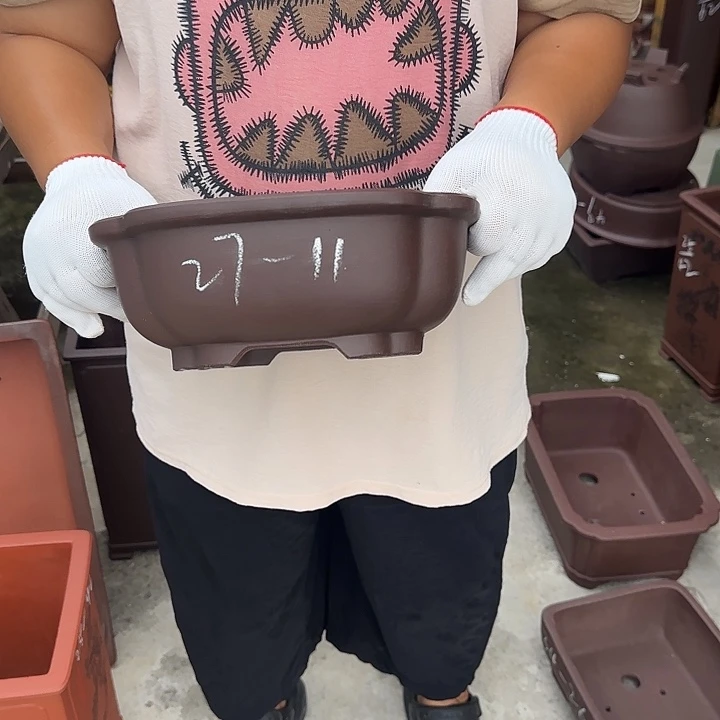 是的呀哈哈好棒好