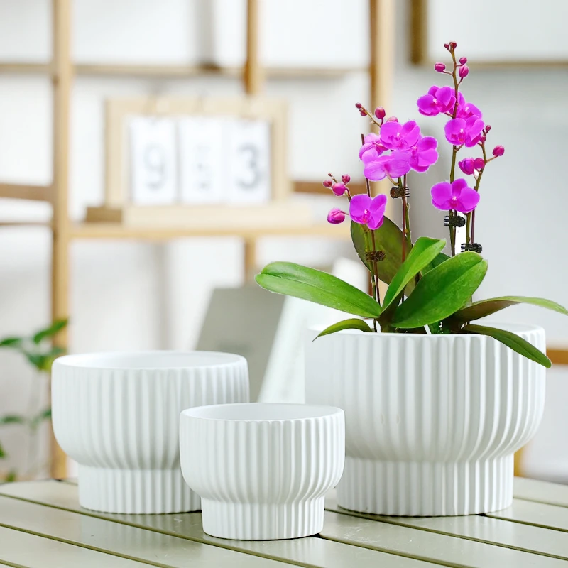 新客立减花盆陶瓷清仓带托盘简约绿萝阳台吊兰创意个性多肉小花盆