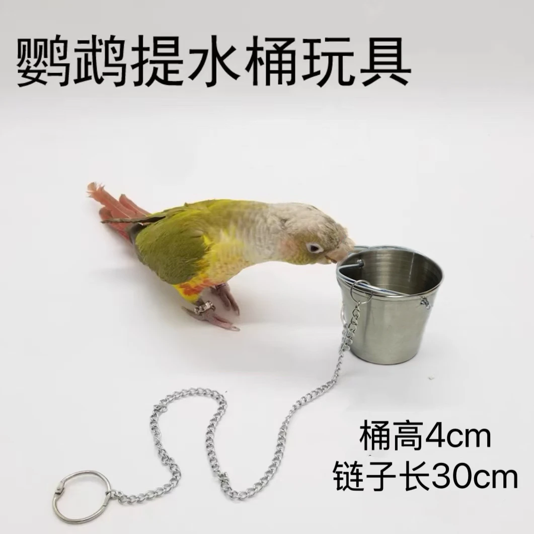 鹦鹉提水桶道具不锈钢材质小鸟互动玩具适合大部分中小型鸟技能
