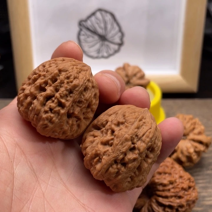 核桃平谷凹底文玩核桃