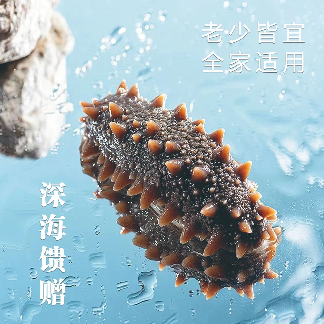 （现场称重)8-10头大连深海优质海参500克即食海参（劲道Q弹）