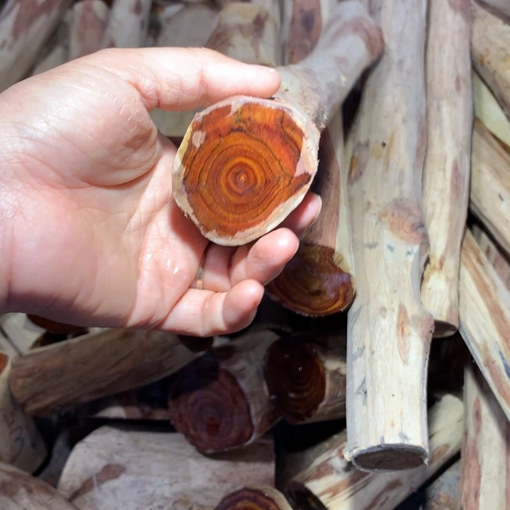 黄花梨/降香黄檀海南黄黄花梨