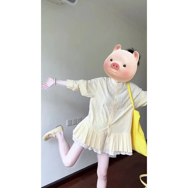 2025夏季韩系新款休闲半高领透感简约百褶中长款开衫连衣裙