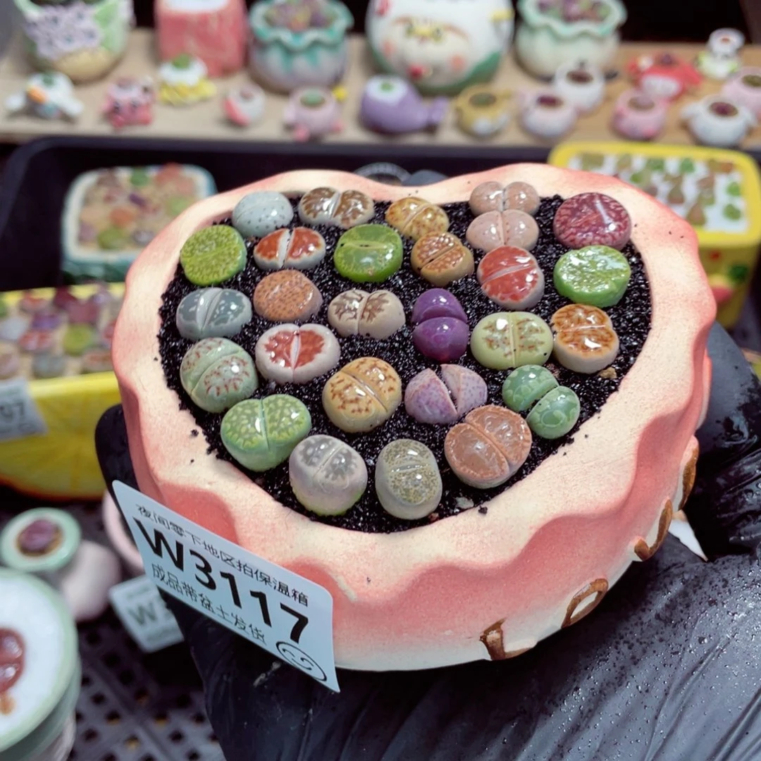 夜间零下地区拍保温箱w3117