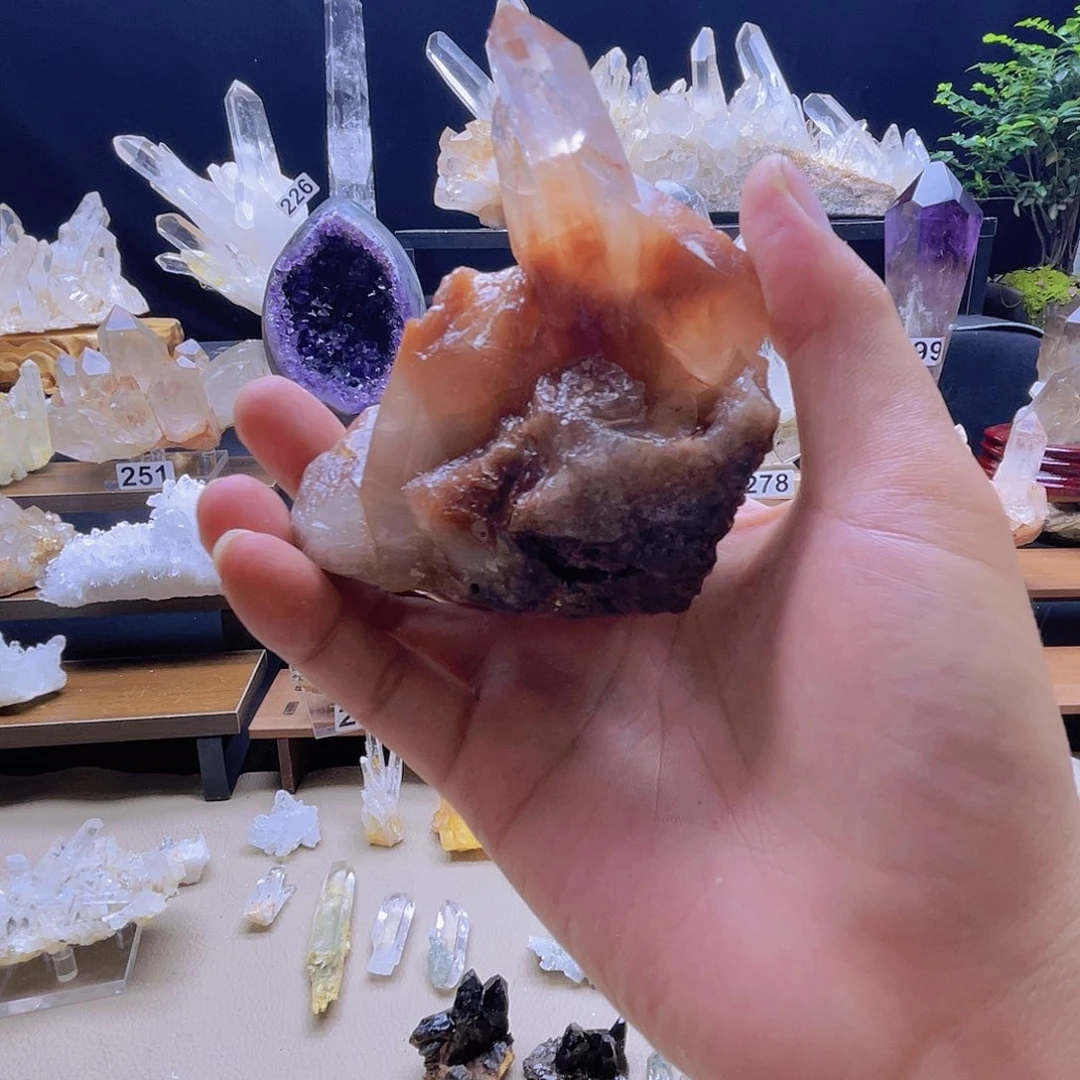 石材红兔毛