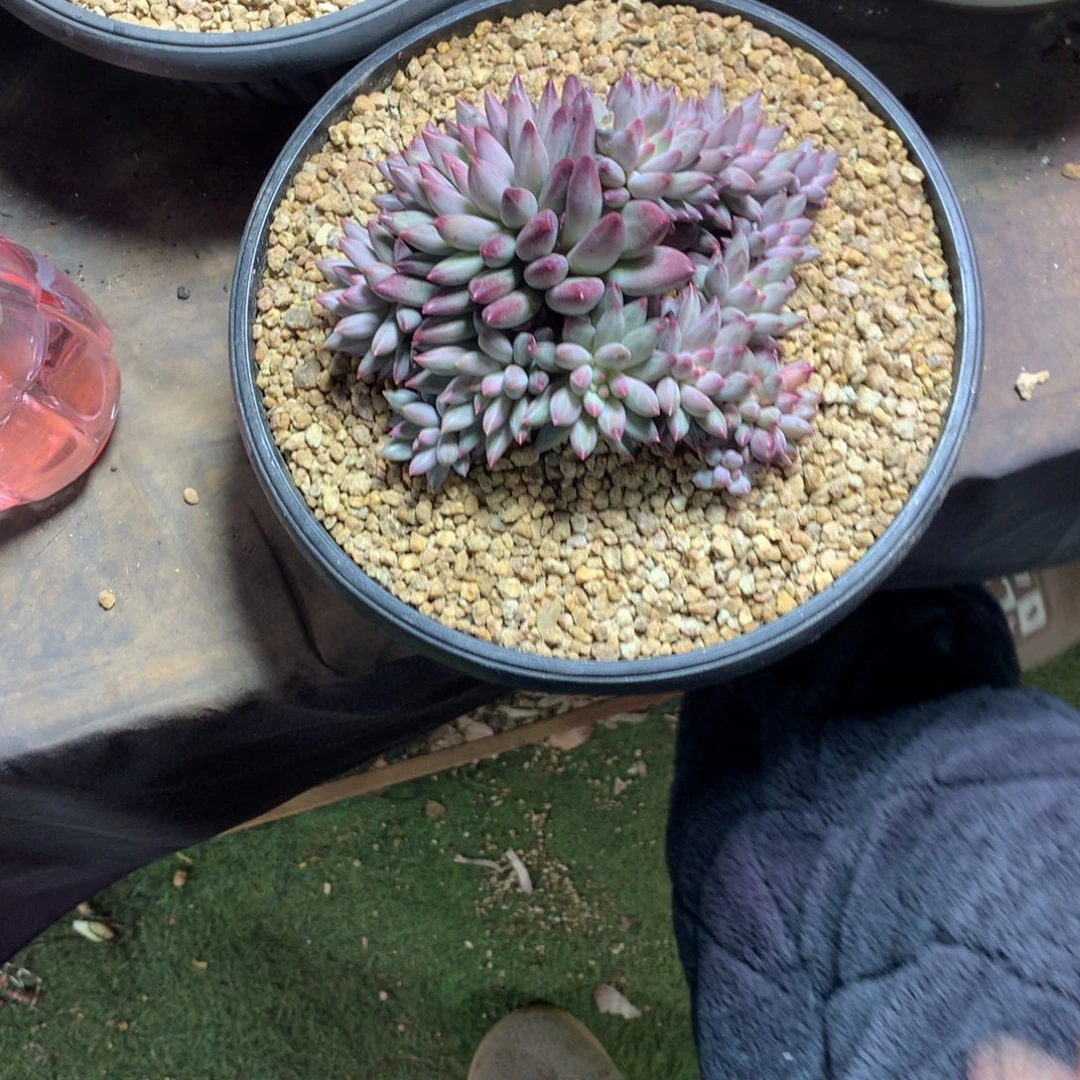 L***y哈哈哈哈哈哈哈哈哈哈哈哈