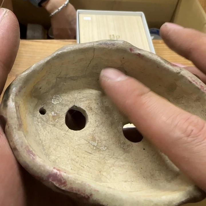 一**景就娇娇娇娇娇娇娇娇