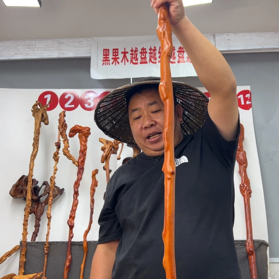 小***活黑果木其他黑果木745
